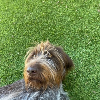 odetokirk's profile picture. 