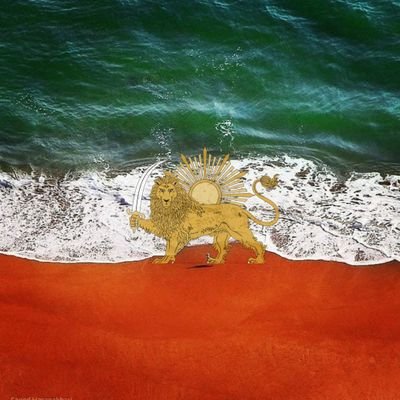abby2584's profile picture. اگر سر به سر تن به کشتن دهیم
از آن به که کشور به دشمن دهیم