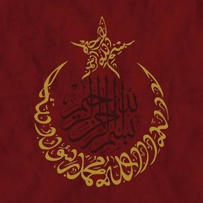 Müslüman eşhastan olup Şeriat ve İttihad-ı İslam için çalışan bir genç.