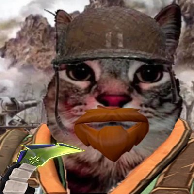 Vitality Kicks Profile