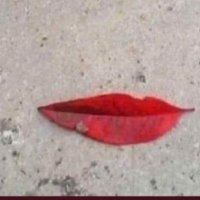 crypto bullish (@wh1tenigger) 's Twitter Profile