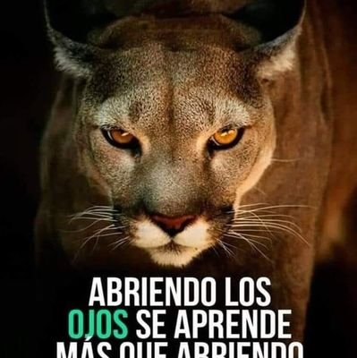 Patriota. La libertad que hoy Gozamos, es a costa de la sangre de nuestros Héroes del pasado. Agradecida Dios - Patria y Familia. ❤️🇨🇱