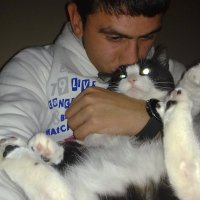 ilim_bir_bilim (@ilim_sel) 's Twitter Profile