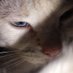 .. (@wolf08375555864) Twitter profile photo .. (@wolf08375555864) Twitter profile photo