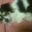 o_maaa's profile image