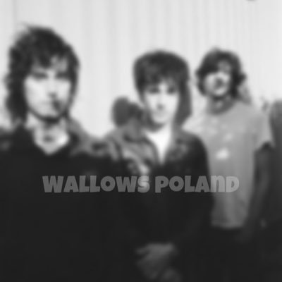 WALLOWS UPDATES !🧡 #wallowscometopoland Ep ,,more” out 28th march