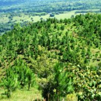 margarita sanchez (@margarita0264) 's Twitter Profile Photo