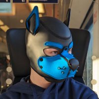 PuppyOderSoo (@puppyodersoo) 's Twitter Profile