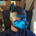 PuppyOderSoo (@puppyodersoo) Twitter profile photo PuppyOderSoo (@puppyodersoo) Twitter profile photo