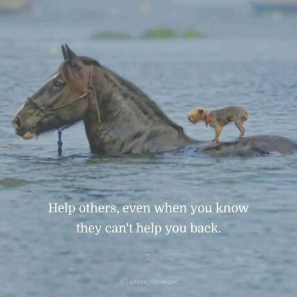 Rubbish_app's profile picture. 