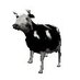 POLISH COW (@elvira58817) Twitter profile photo POLISH COW (@elvira58817) Twitter profile photo