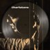 The Charlatans (@thecharlatans) Twitter profile photo The Charlatans (@thecharlatans) Twitter profile photo