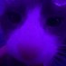 oilypawjob (@oilypawjob) Twitter profile photo oilypawjob (@oilypawjob) Twitter profile photo