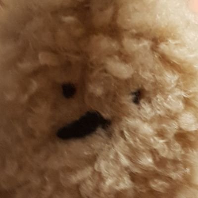 팜🎄さんのプロフィール画像