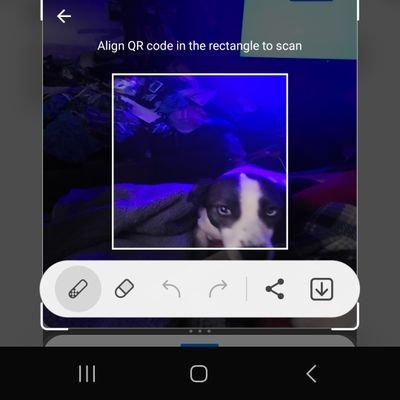 ajfuynervs45596's profile picture. 