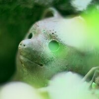 かみおかべ古民家活用計画 (@kamiokabe_usp) Twitter profile photo