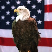 Hunter Freeman (@hunterfreeman78) 's Twitter Profile