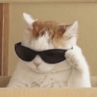 vai tomar no seu cu (@danielsilva1951) 's Twitter Profile