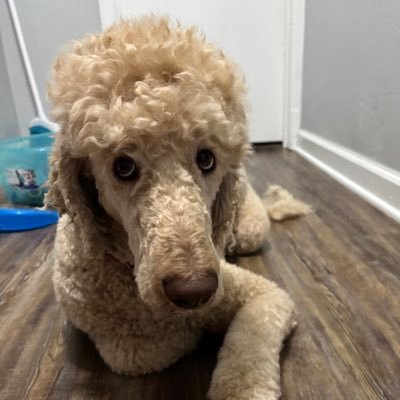 Pja44670's profile picture. Idaho native, a Gem from the Gem State. I still love mountains.