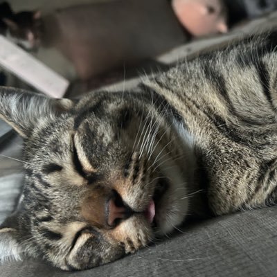 BouchGreg's profile picture. ~ENJOY THE RIDE~