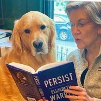 Bailey Warren (@firstdogbailey) 's Twitter Profile