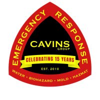 Cavins Group LLC (@cavinsllc) 's Twitter Profile