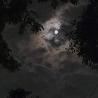 - (@ii6ci) 's Twitter Profile