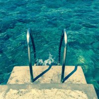 Giacomo (@giacomoperes) 's Twitter Profile Photo Giacomo (@giacomoperes) 's Twitter Profile Photo