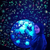 Mina Amjed (@minaamjed7) 's Twitter Profile