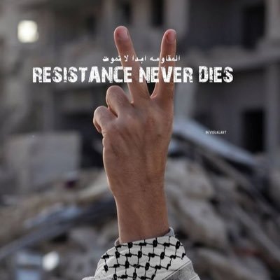 KaitGolden's profile picture. getting really tired of the word ‘unprecedented’