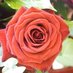 प्रकृति (Natural) (@indeed_natural) Twitter profile photo प्रकृति (Natural) (@indeed_natural) Twitter profile photo