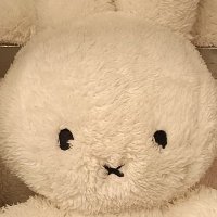 Zizi (@maksi2024) 's Twitter Profile