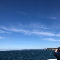 Kyo (@kyo2846508) 's Twitter Profile Photo Kyo (@kyo2846508) 's Twitter Profile Photo