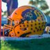Reynoldsburg Football (@reynoldsburgfb) Twitter profile photo Reynoldsburg Football (@reynoldsburgfb) Twitter profile photo