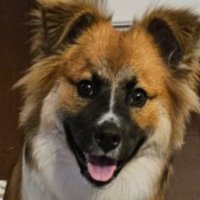 BrewsBitcoin (@brewsbitcoin) 's Twitter Profile
