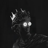 | P.O.T.U.S | (@btcpotus) 's Twitter Profile Photo | P.O.T.U.S | (@btcpotus) 's Twitter Profile Photo