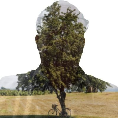 Je suis une personne disciplinée dans le domaine du travail. Je traite tout le monde avec respect et je n'accepte personne qui ne respecte pas les autres.