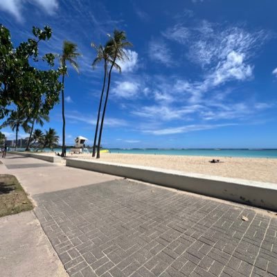 jetlifentrees's profile picture. Hunter of shills Destroyer of FUD I got your fucking back Nothing I say is financial advise