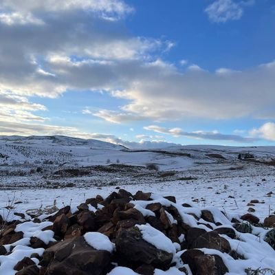 Haidi2408427220's profile picture. 