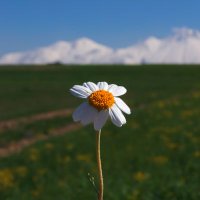 Muhsin ŞAHİN (@muhsinsahin65) Twitter profile photo