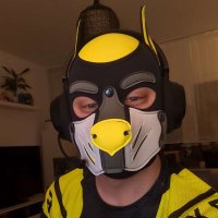 Pico (@pup_pico) 's Twitter Profile