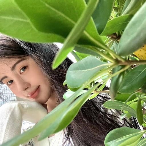 Sceethas3GV's profile picture. 