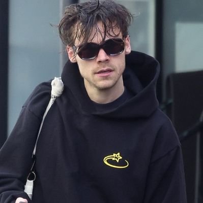 23 | Put a price on emotion, I'm looking for something to buy | Harry, Louis y F1 ⋆