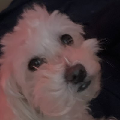 la unica cosa que me tomo en serio es lo que estudio :)