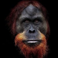 AddMyName (@azkevin54) 's Twitter Profile Photo AddMyName (@azkevin54) 's Twitter Profile Photo