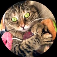 Ricky Gervais (@riskygerviais) 's Twitter Profile