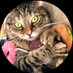 Ricky Gervais (@riskygerviais) Twitter profile photo Ricky Gervais (@riskygerviais) Twitter profile photo