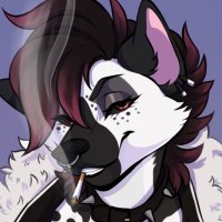 Arrell 🔞🏴🐴 (@arrell18) 's Twitter Profile