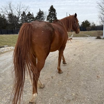 PrybarPat's profile picture. 