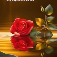 Diamantgardenia2 (@diamantgar71672) 's Twitter Profile